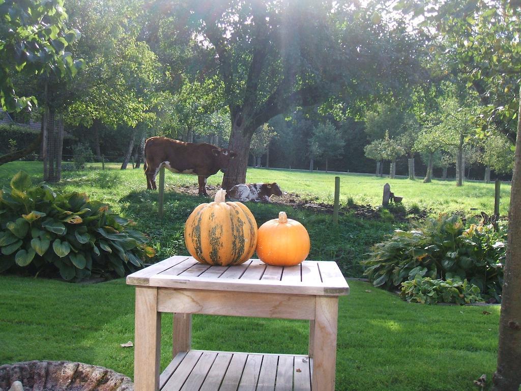 Bed & Breakfast Rodenberg Driebergen