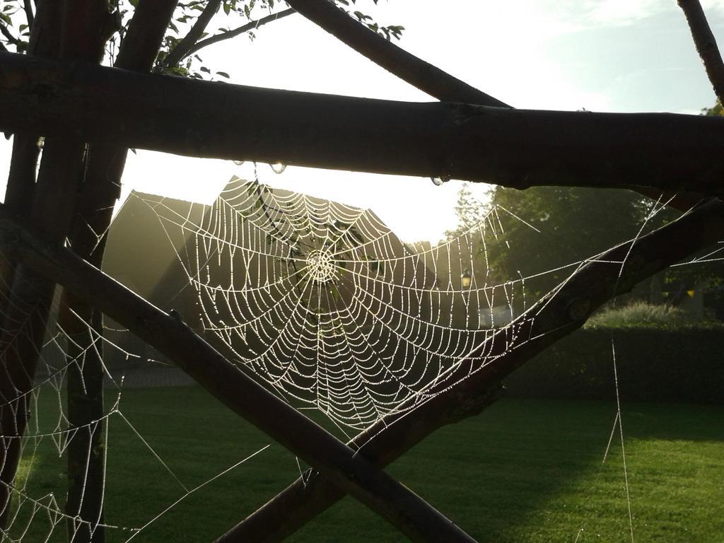 Bed & Breakfast Rodenberg Driebergen